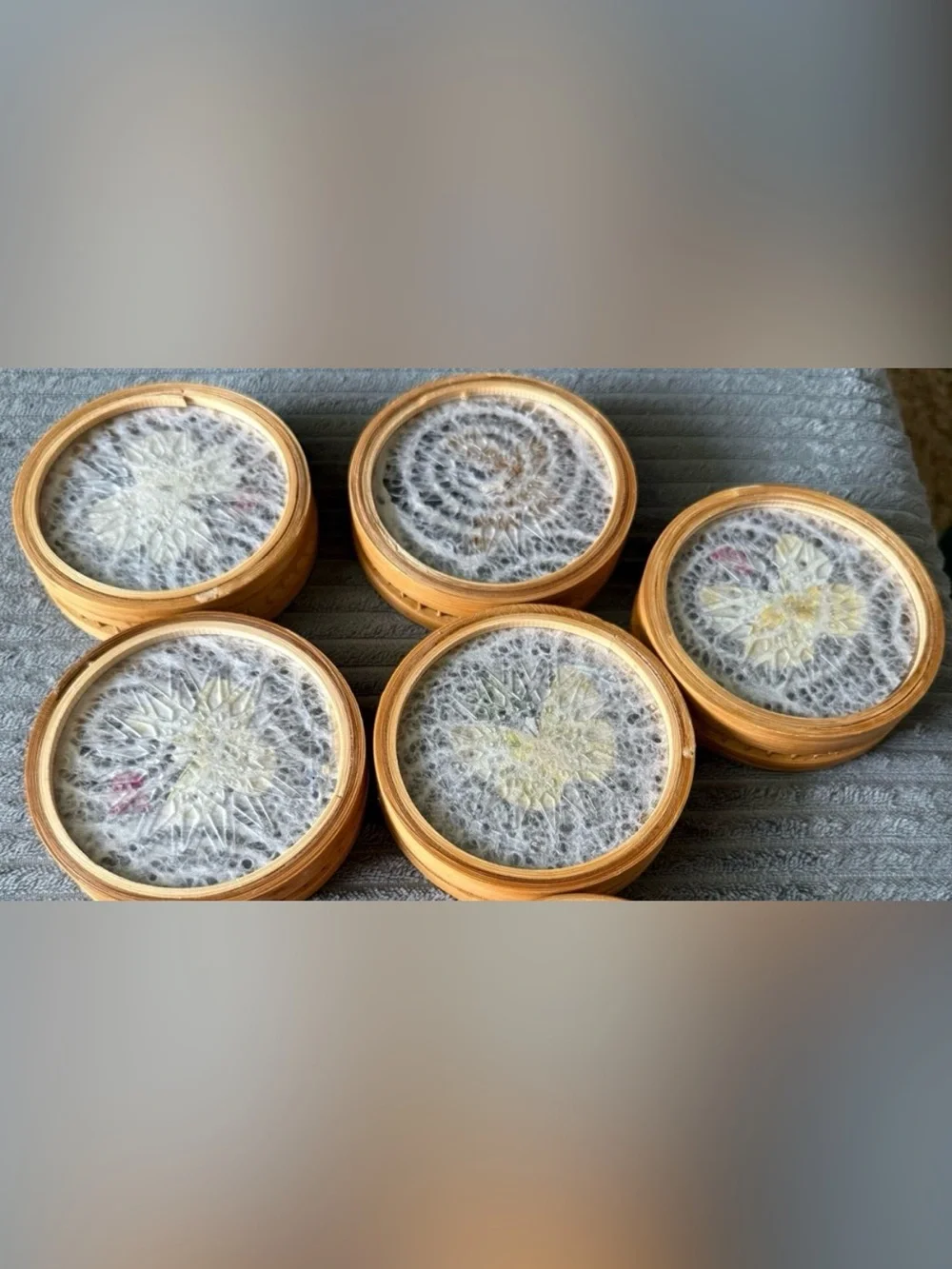 READ VTG Taxidermy Butterfly Coasters and Wicker Tray Bamboo Dried Flowers